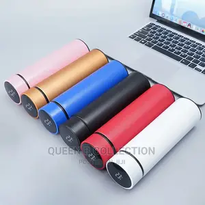 Temperature Water Bottle