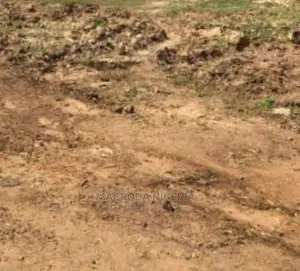 Photo - Quarter Plot of Land at Lukas After K Farm Iju for Sale