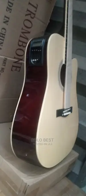 Semi-Acoustic Box Guitar