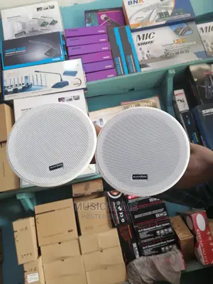 Portable Two Zone Bluetooth Amplifier With Remote Control
