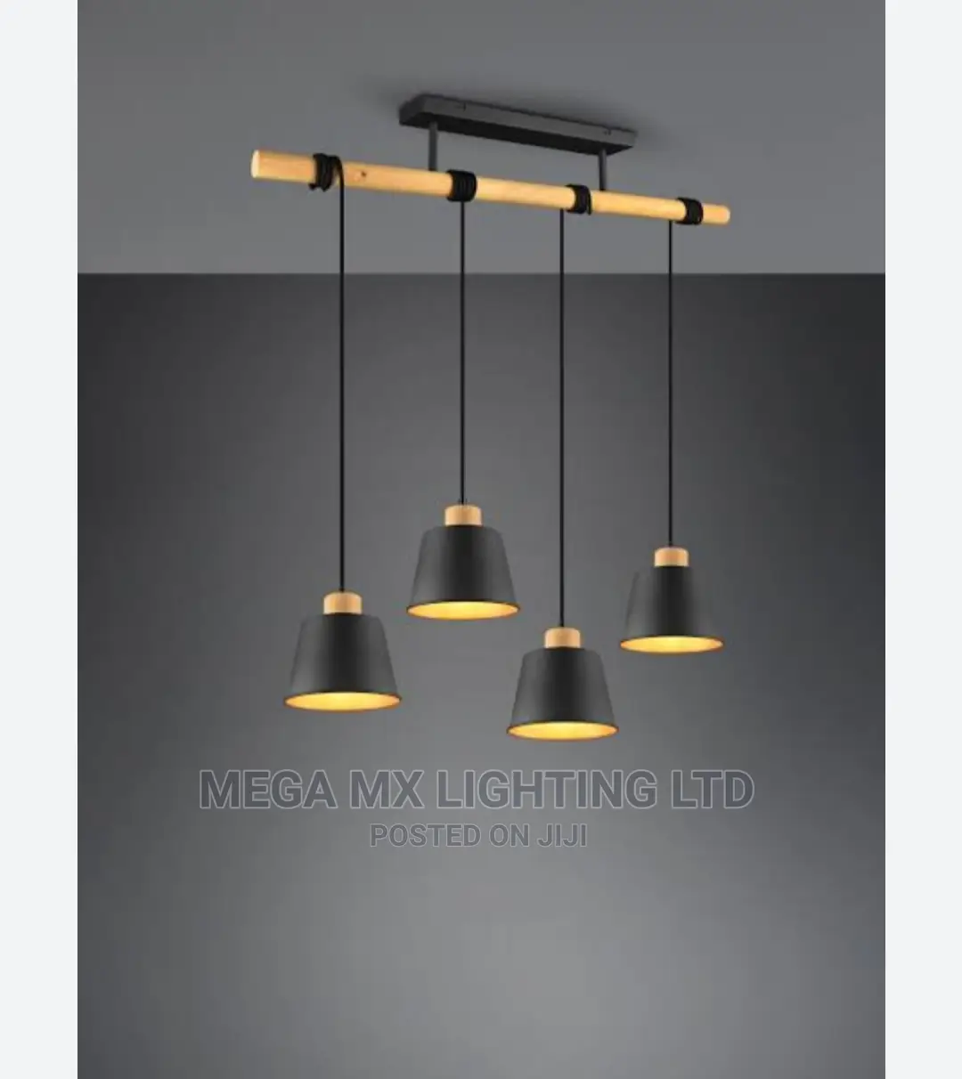 Architectural Decorative Pendant Light