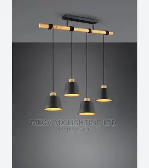 Architectural Decorative Pendant Light