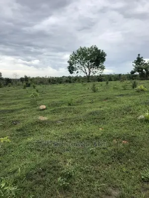 500 Acres of Land for Sale Boundary With Ogun River