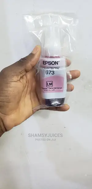 Exceptional Epson 673 Ink