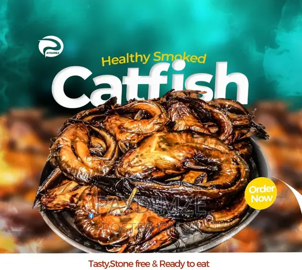 Price Of Smoked Catfish In Nigeria Smoked Big Catfish Available