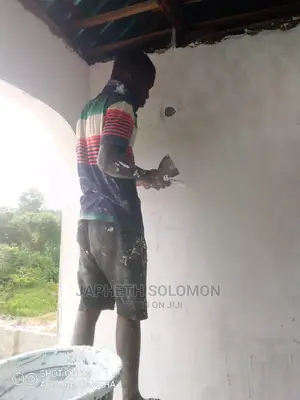 Screeding/Luxury Painting Services