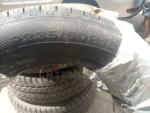 235/60r18 Winda