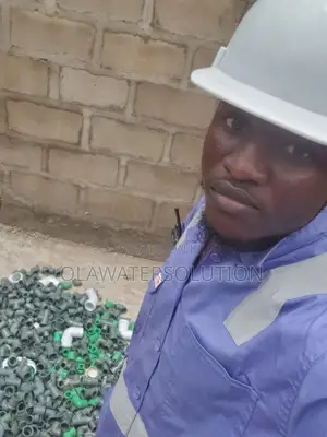 Professional Plumber