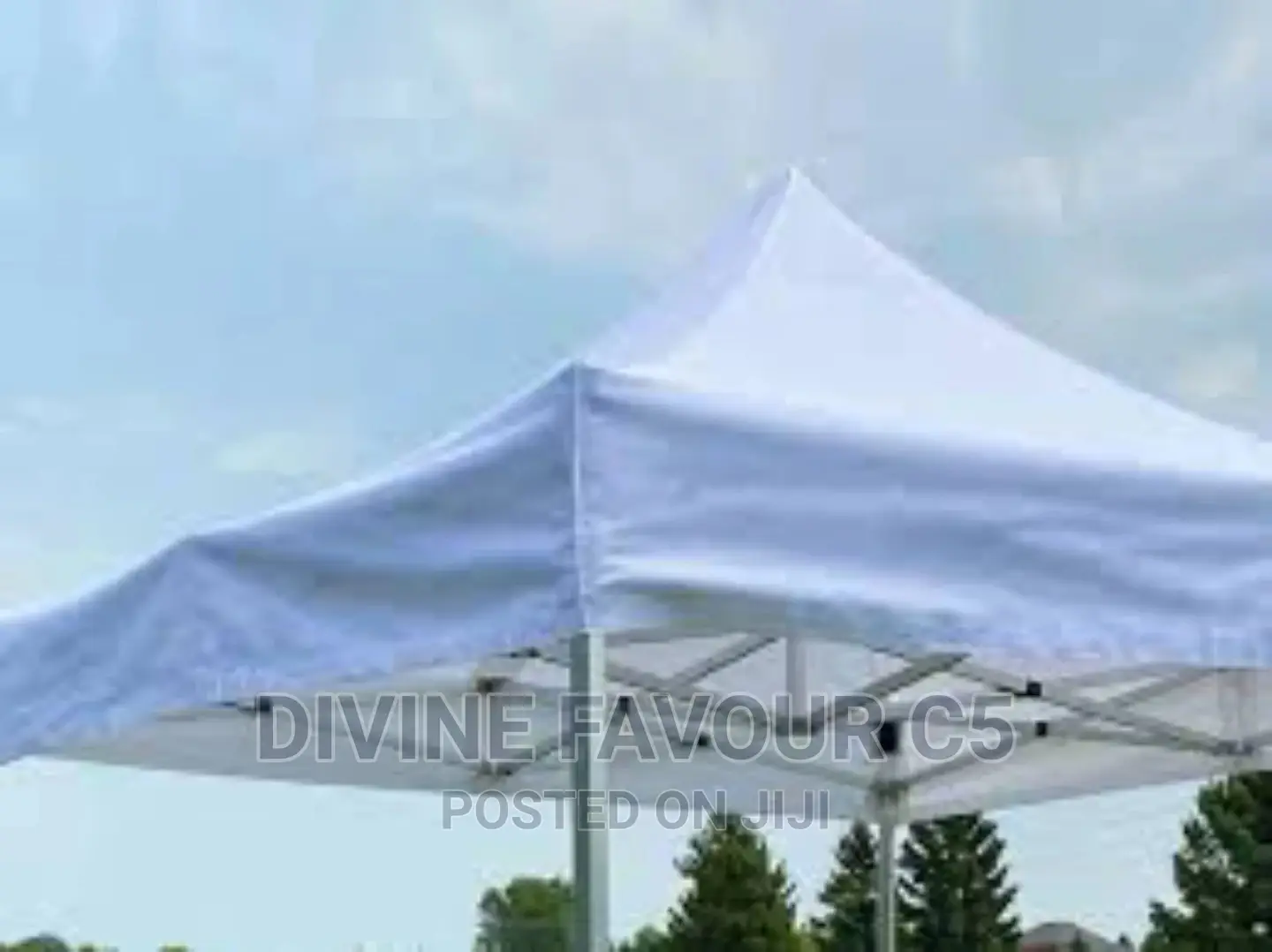 10 X10 Foldable Canopy Tent