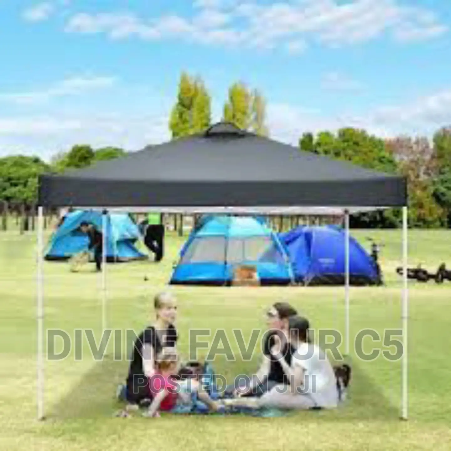 10 X10 Foldable Canopy Tent