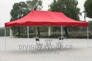 10x20 Foldable Canopy