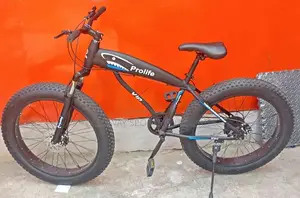 Big Tyre Bicycle