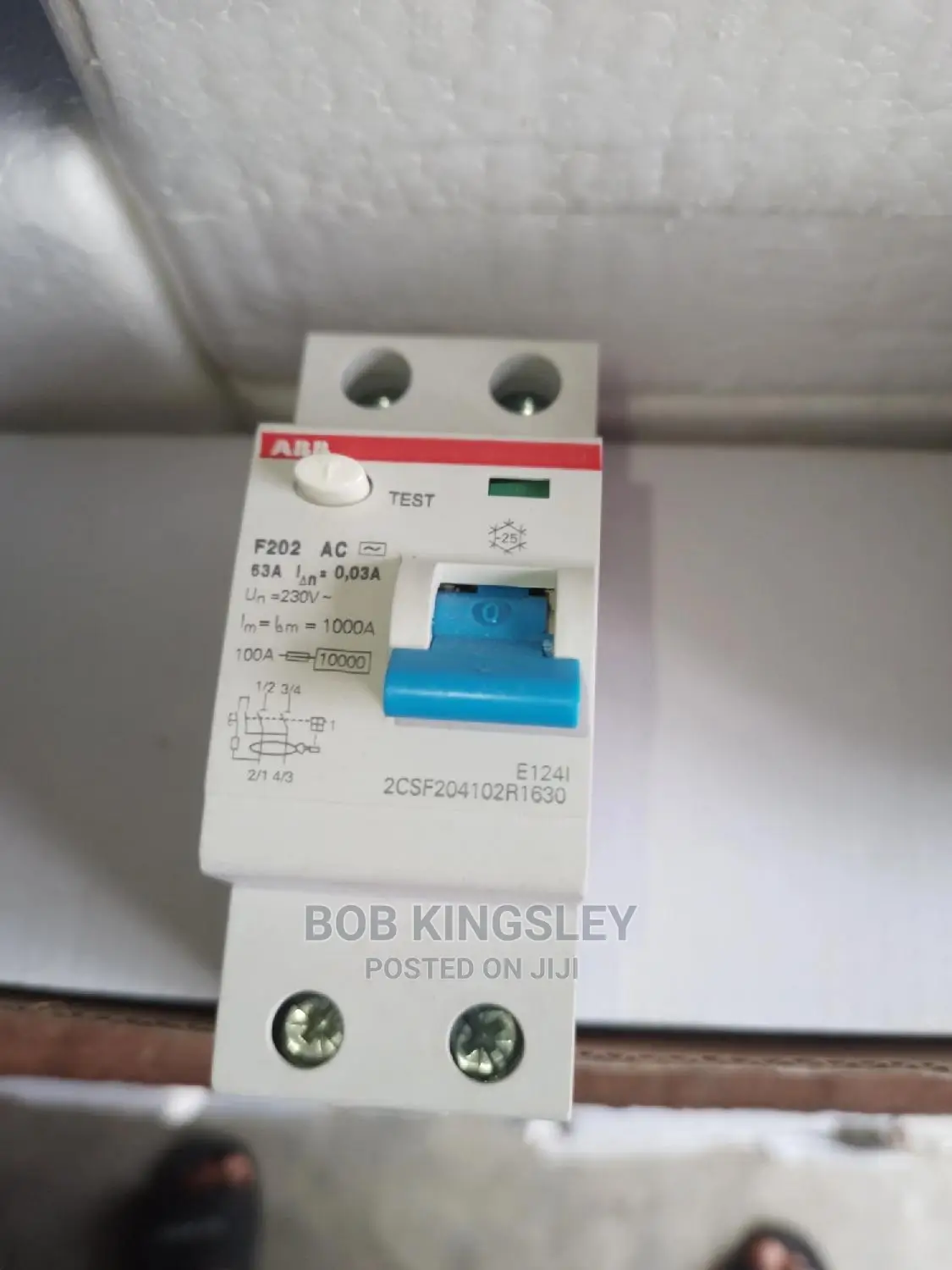 63A 2pole Elcb Abb