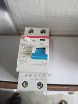 63A 2pole Elcb Abb