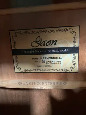 Quality Gaon Pure Acoustic Guitar