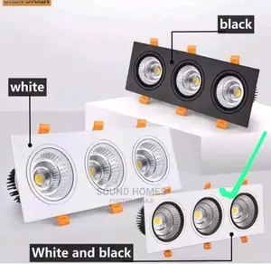 3 in 1 Spotlight