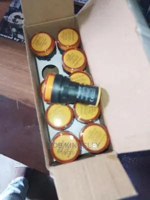 Indicator Light