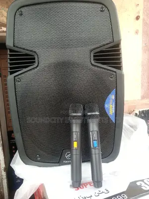 Hiring Selling of Public Address System