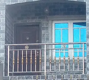 Front House Stainless Handrail