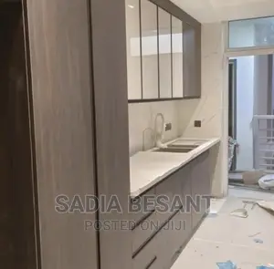 Contemporary Kitchen Cabinet Design