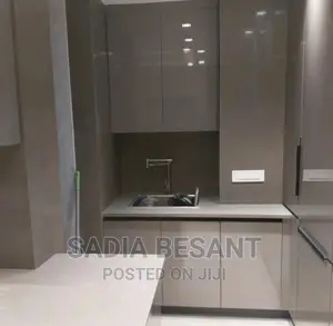 Luxury Kitchen Cabinet Design and Accessories