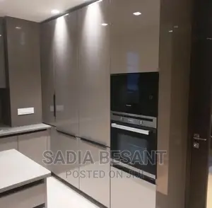 Luxury Kitchen Cabinet Design and Accessories