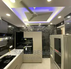 Luxury Kitchen Cabinet and Accessories