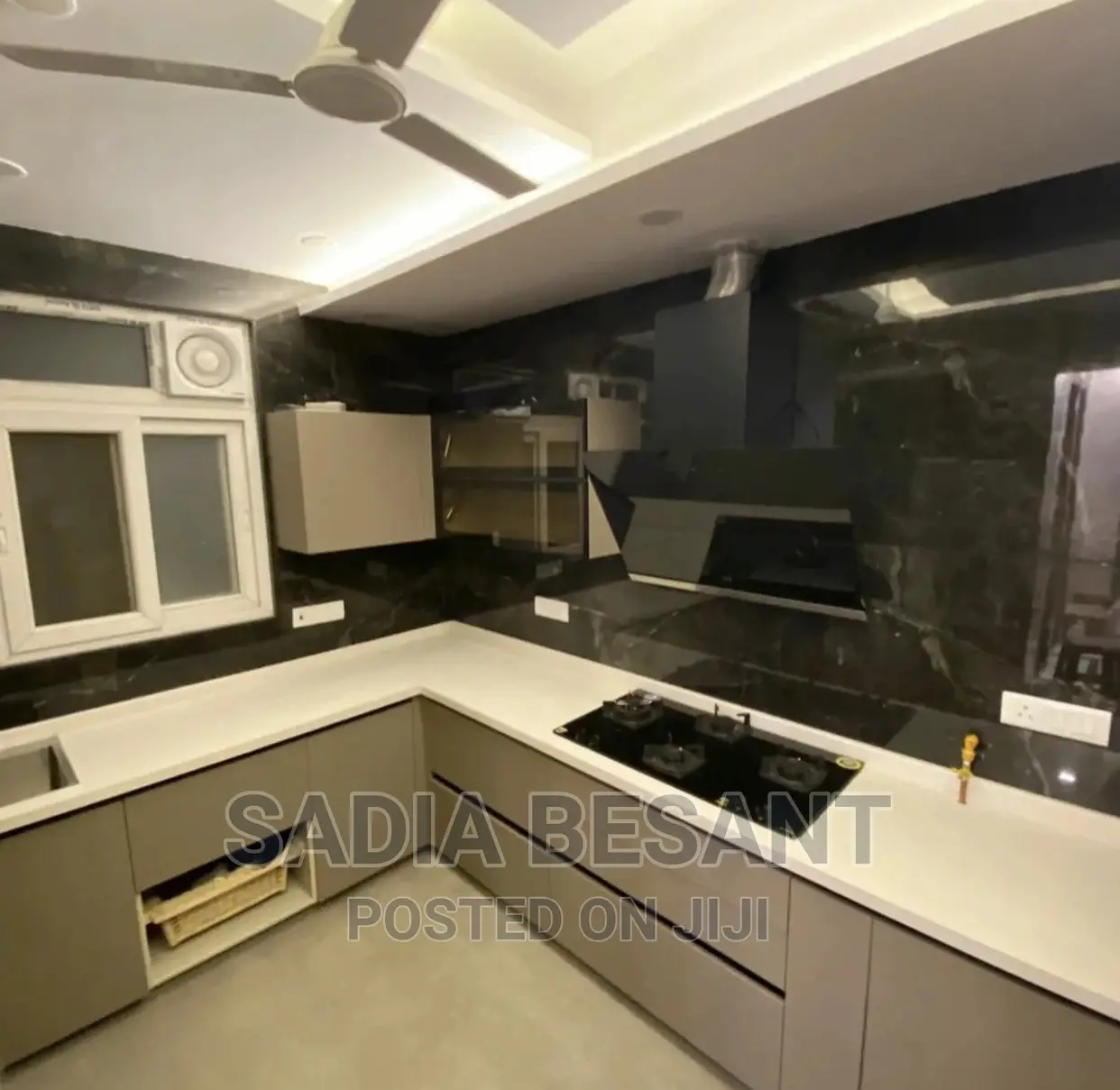 Luxury Kitchen Cabinet and Accessories