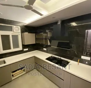 Luxury Kitchen Cabinet and Accessories