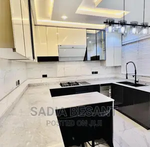 Luxury Kitchen Cabinet Design With Accessories
