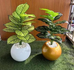Fibre Pot Potted Flower
