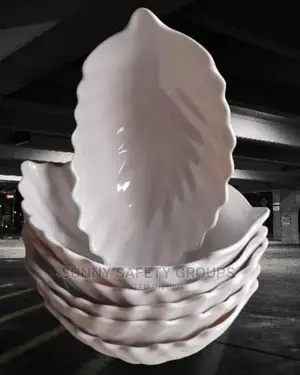 Quality Unbreakable Fancy Bowls by 12