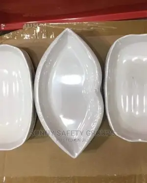 Quality Unbreakable Fancy Plates by 12