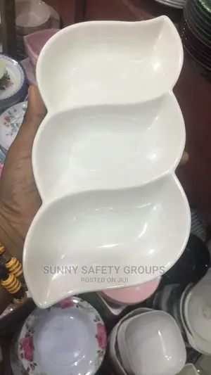 Beautiful Unbreakable Fancy 3 Portions Plates