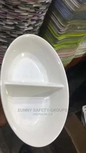 Quality Double Portion Unbreakable Fancy Plates by 12