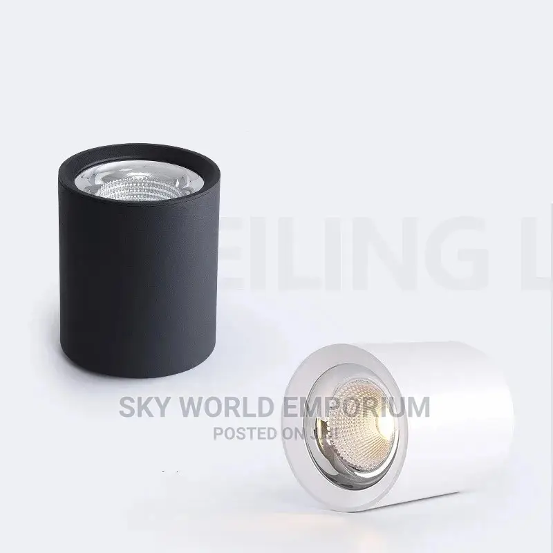 10w Cob Spot Light
