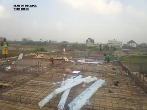 Professional Construction Carpenter