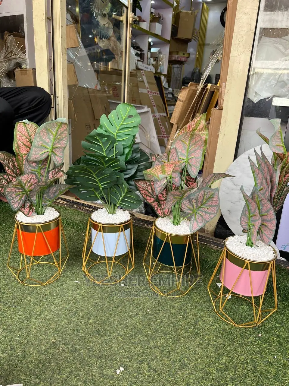 Potted Tribe Cage Flower