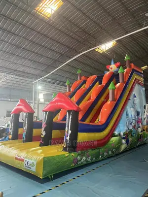 Slide Bouncy Castle