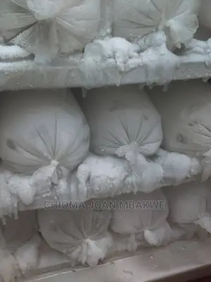 Cold Room and Ice Block Machines