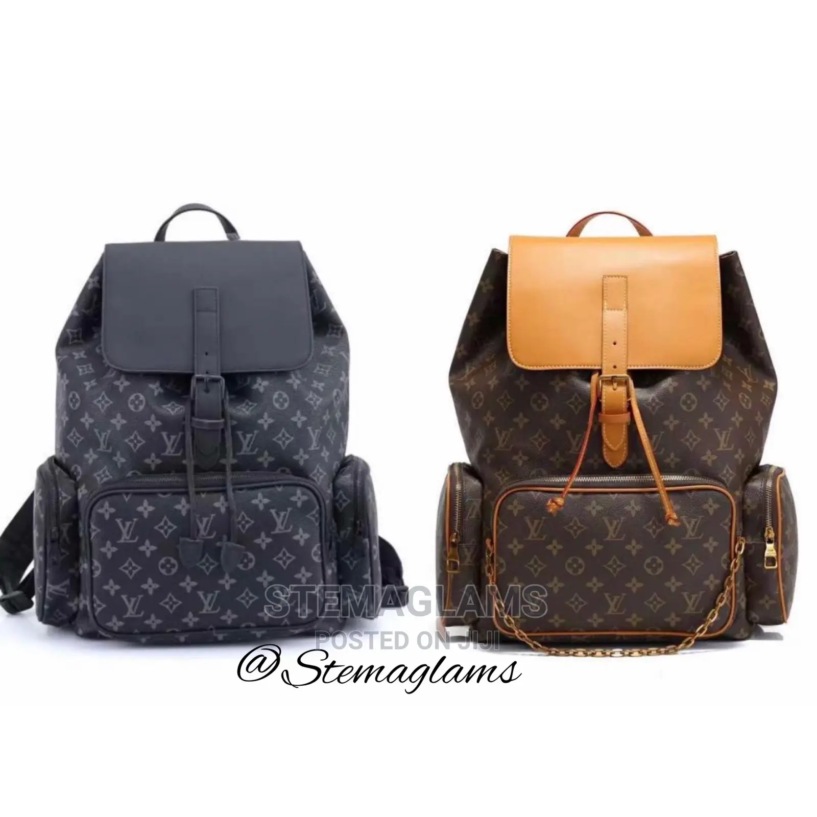 Louis Vuitton Luxury Packpack