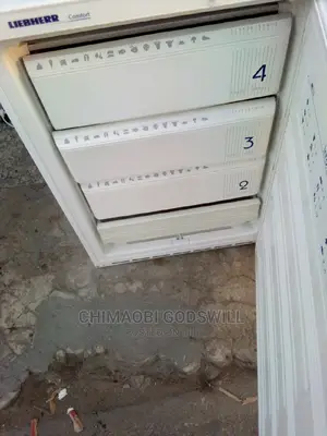 Single Door Chest Standing Freezer
