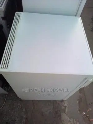 Single Door Chest Standing Freezer