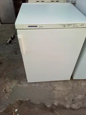 Single Door Chest Standing Freezer