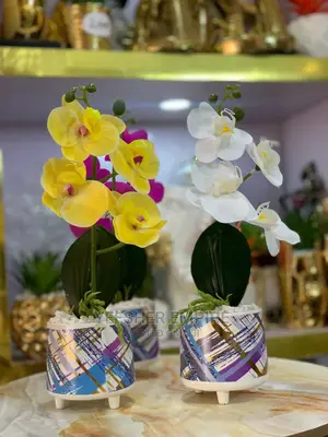 Alice Orchid Flower Decor