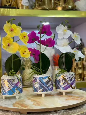 Alice Orchid Flower Decor