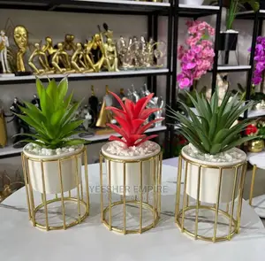 Caged Flower Pot