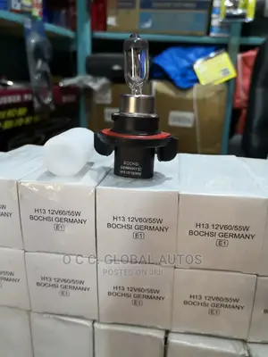 H13 Bosch Bulb 24v