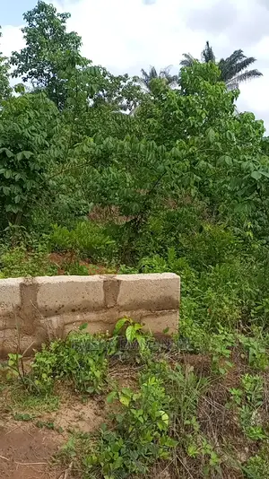 1 Plot of Land for Sale at Amawbia Close to Express