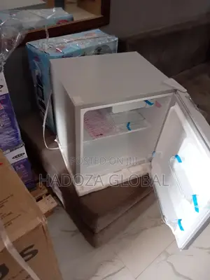LG 45L Mini Fridge (Sliver Color)